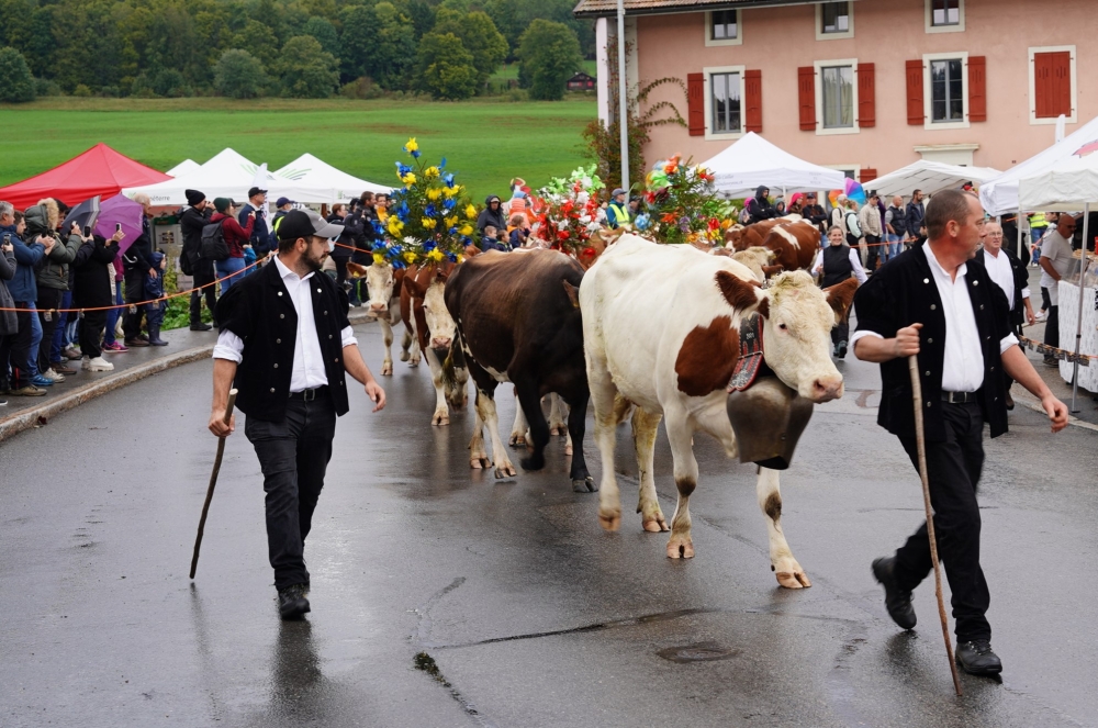 Journée des alpages du Jura vaudois & Fête du Vacherin Mont-d'Or ...